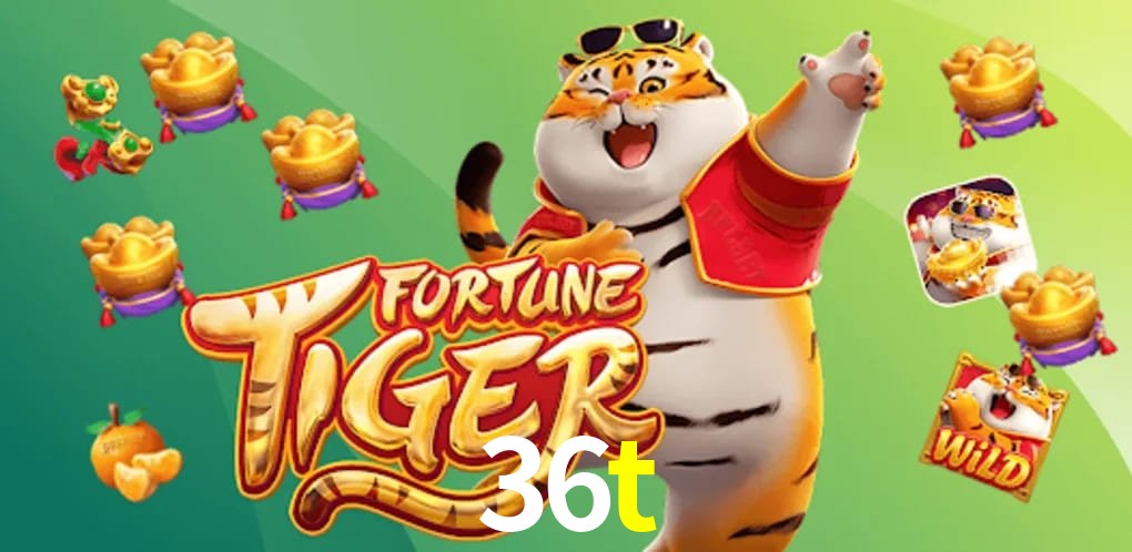 Bonus Features 36t